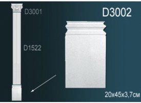 D3002