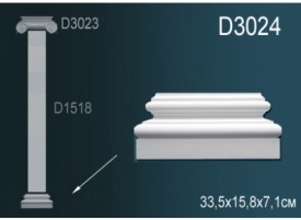 D3024